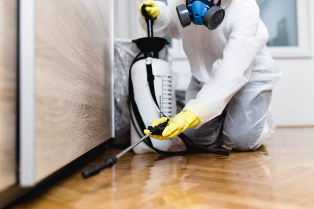 Insect Control in Walnut, IL