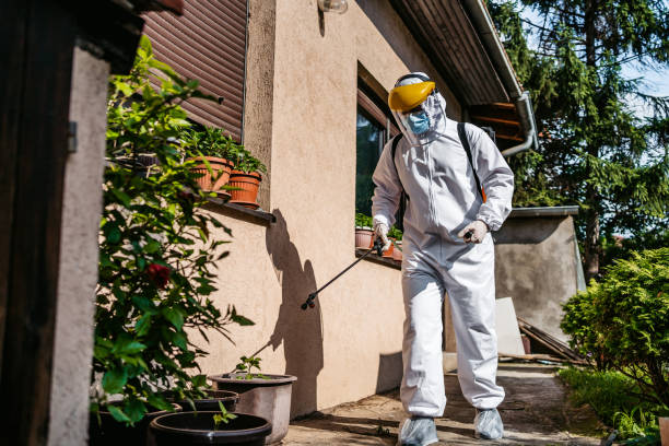 Best Rat Extermination Near Me  in Walnut, IL