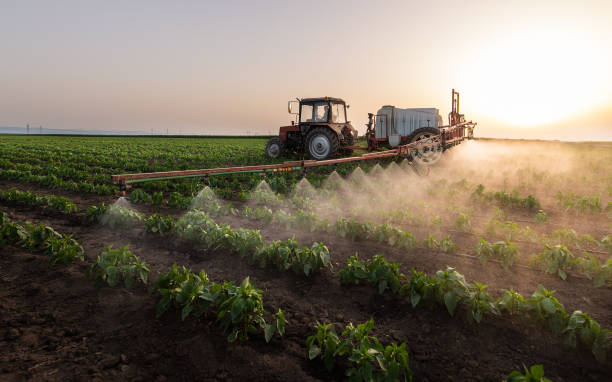 Best Pest Removal Services  in Walnut, IL