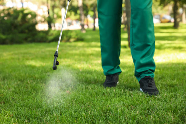 Best Exterminator Services  in Walnut, IL