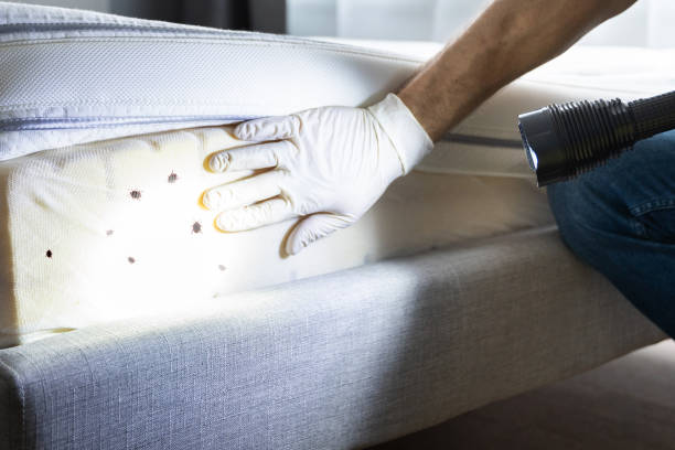 Best Emergency Pest Control  in Walnut, IL