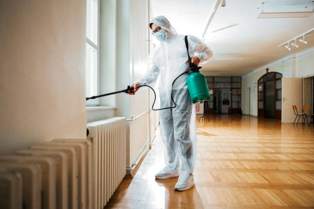 Best Insect Control  in Walnut, IL