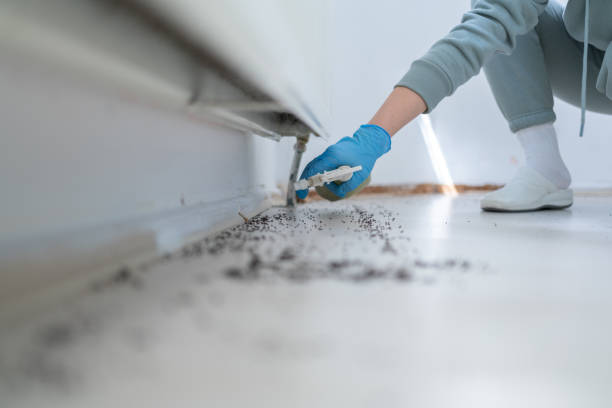 Best Pest Prevention Services  in Walnut, IL